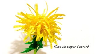Flors de paper i cartró